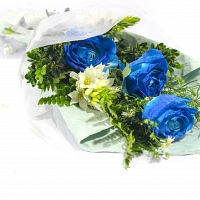 Lovely Blue Rose Bunch